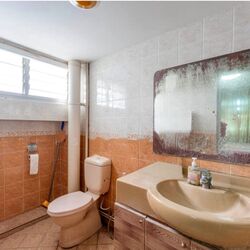 Blk 237 Pasir Ris Street 21 (Pasir Ris), HDB Executive #606982251